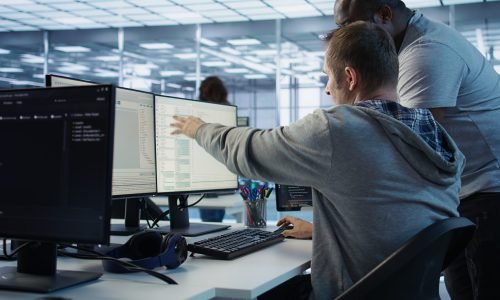 Programmer requesting help from manager while working on computer in data center